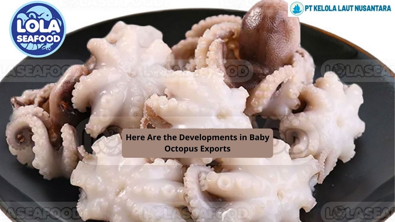 Here Are the Developments in Baby Octopus Exports